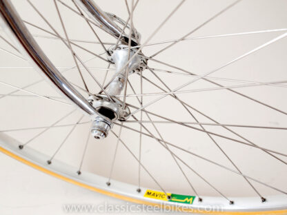 Pinarello Treviso Campagnolo Croce D'Aune