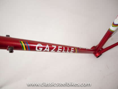 Gazelle AB-Frame Team Amstel
