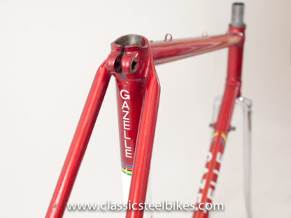 Gazelle AB-Frame Team Amstel