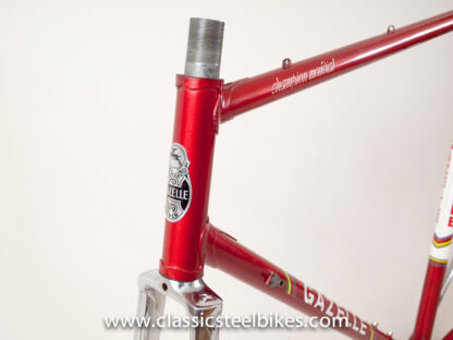 Gazelle AB-Frame Team Amstel