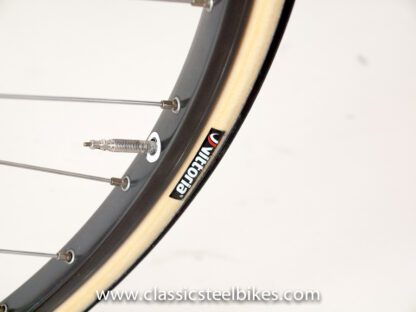 Colnago Master Campagnolo C-Record Cobalto