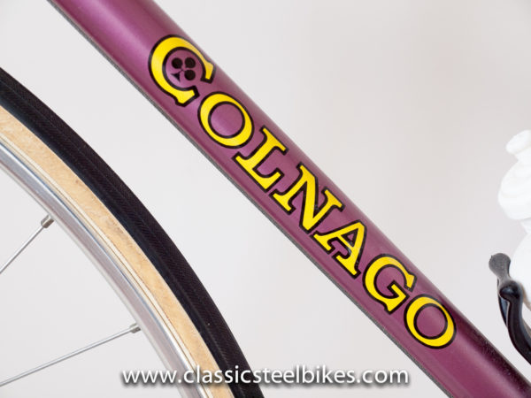 colnago super 1973