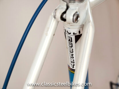 Gazelle Champion Mondial AA-Special Size 57ct - Image 18