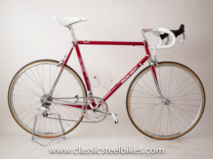 Somec Rex Campagnolo Athena