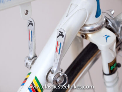 Gazelle Champion Mondial AB-Frame Size 50ct