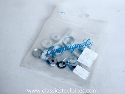 Campagnolo Athena Shifting Levers