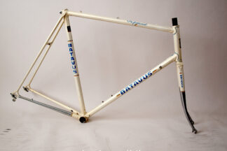 Batavus Professionel Frame 62ct