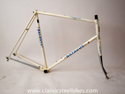 Batavus Professionel Frame 62ct