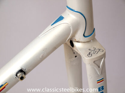 Batavus Professional Frameset Size 62ct - Image 10
