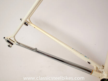 Batavus Professional Frameset Size 62ct - Image 11