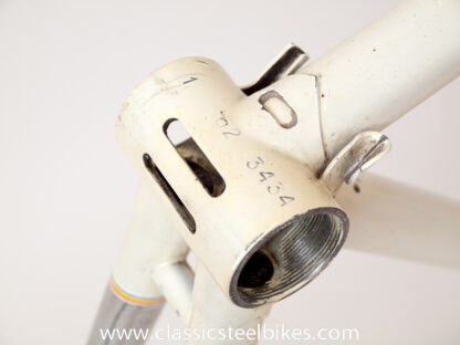 Batavus Professional Frameset Size 62ct - Image 14
