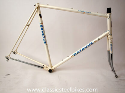 Batavus Professionel Frame