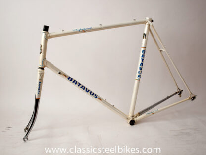 Batavus Professionel Frame