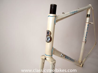 Batavus Professional Frameset Size 62ct - Image 3