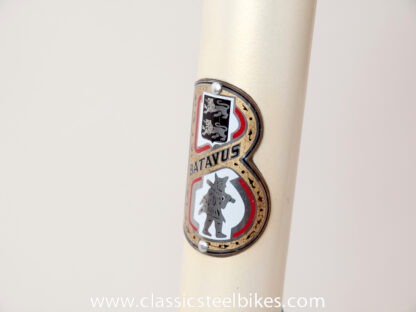 Batavus Professional Frameset Size 62ct - Image 4