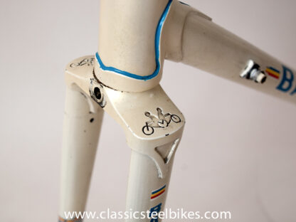 Batavus Professional Frameset Size 62ct - Image 5