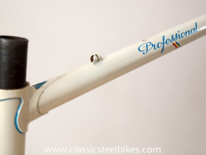Batavus Professional Frameset Size 62ct - Image 6
