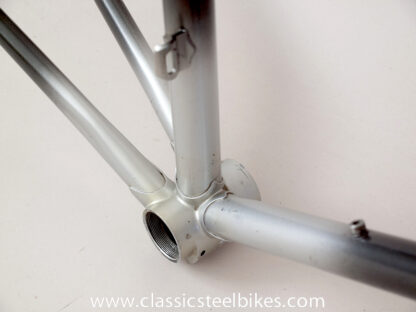 Gazelle Champion Mondial AA-Special Frame