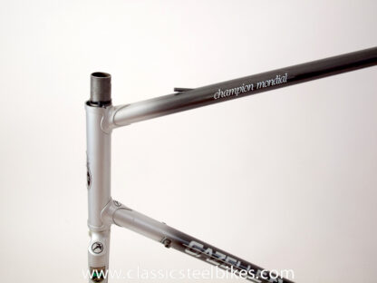 Gazelle Champion Mondial AA-Special Frame