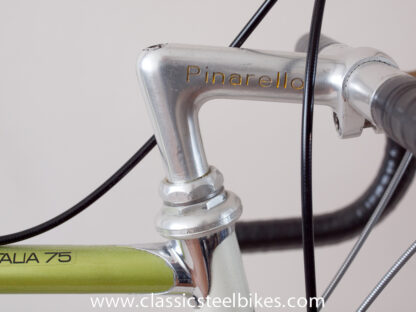 Pinarello Super Record Special