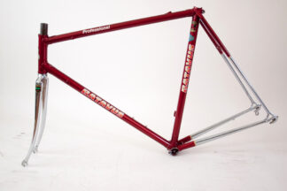 Batavus Professional Frame