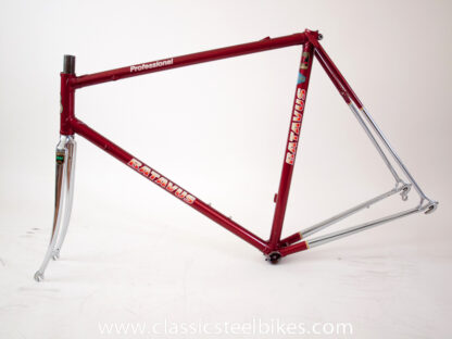 Batavus Professional Frame