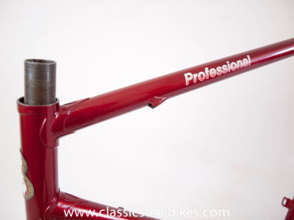 Batavus Professional Frame