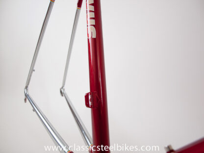 Batavus Professional Frame Size 57ct - Image 17