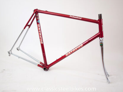 Batavus Professional Frame