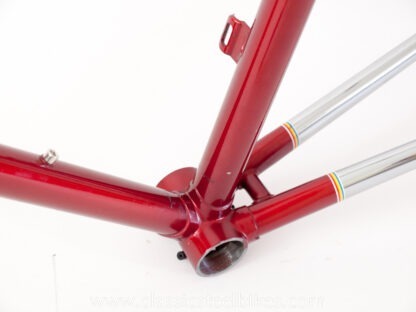 Batavus Professional Frame