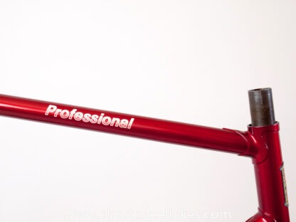 Batavus Professional Frame