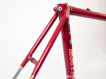 Batavus Professional Frame