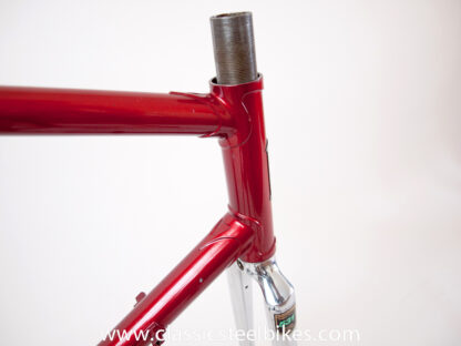 Batavus Professional Frame Size 57ct - Image 8