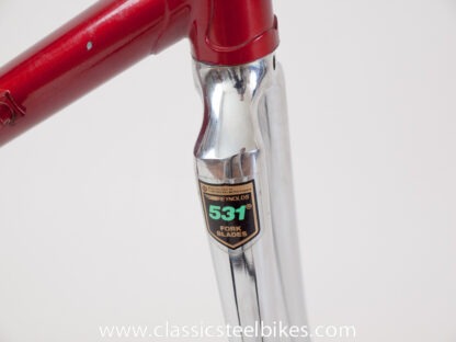 Batavus Professional Frame Size 57ct - Image 9
