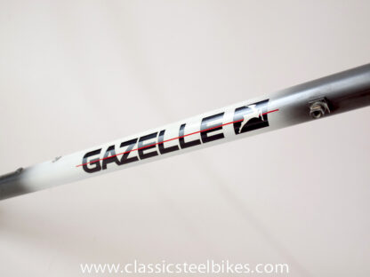 Gazelle Champion Mondial AB-Frame 62ct - Image 12