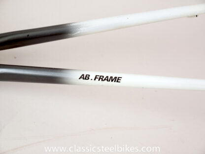 Gazelle Champion Mondial AB-Frame