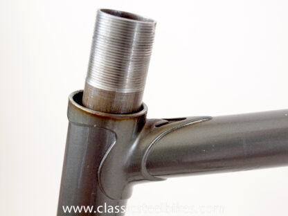 Gazelle Champion Mondial AB-Frame 62ct - Image 9