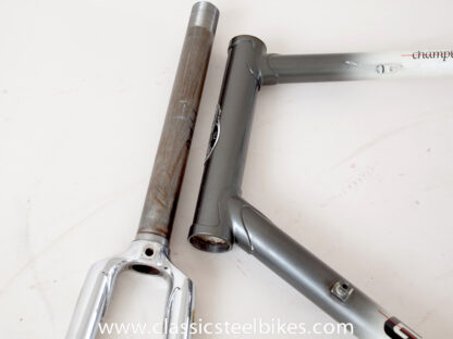 Gazelle Champion Mondial AB-Frame 62ct - Image 23