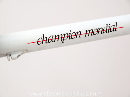 Gazelle Champion Mondial AB-Frame