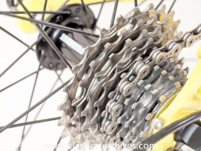 Pinarello Opera Campagnolo Record Size 58ct - Image 22