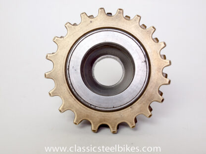 Regina Extra Freewheel 6speed