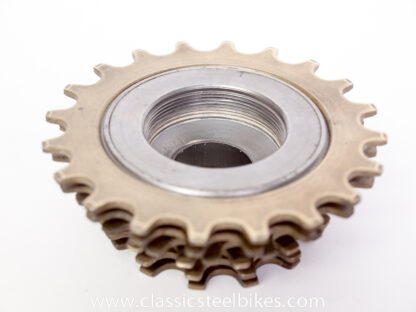 Regina Extra Freewheel 6speed