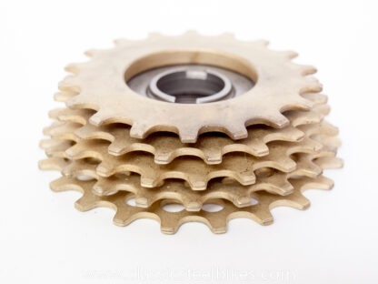 Regina Extra ORO Freewheel 5speed