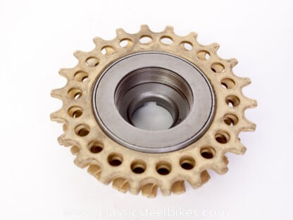Regina Extra ORO Freewheel 5speed